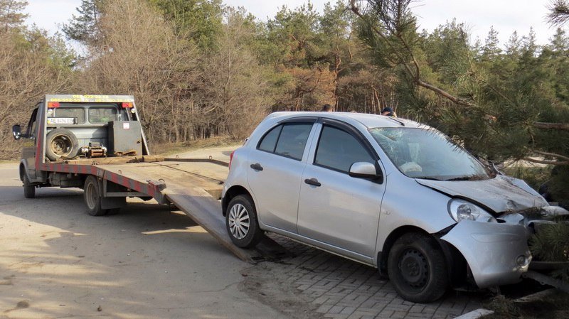 Кто в лес, кто по дрова: в Днепре девушка на Nissan снесла три елки 4