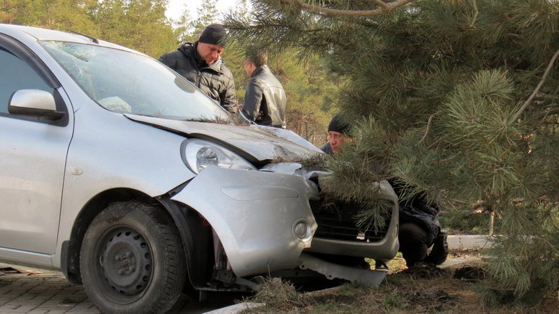Кто в лес, кто по дрова: в Днепре девушка на Nissan снесла три елки 5