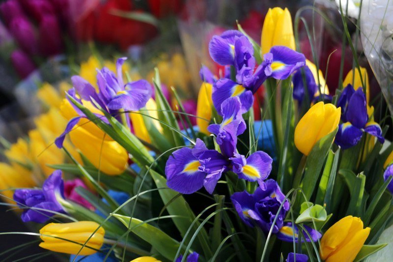 Сколько стоит порадовать девушку: цены на цветы в преддверии 8 марта 5