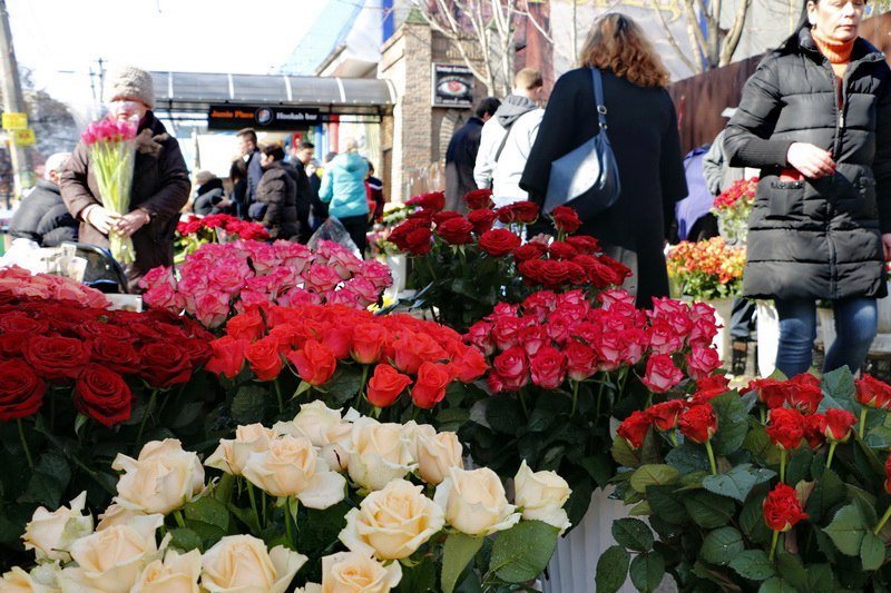 Сколько стоит порадовать девушку: цены на цветы в преддверии 8 марта 9