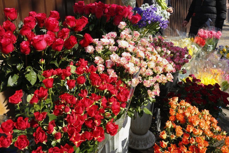 Сколько стоит порадовать девушку: цены на цветы в преддверии 8 марта 10