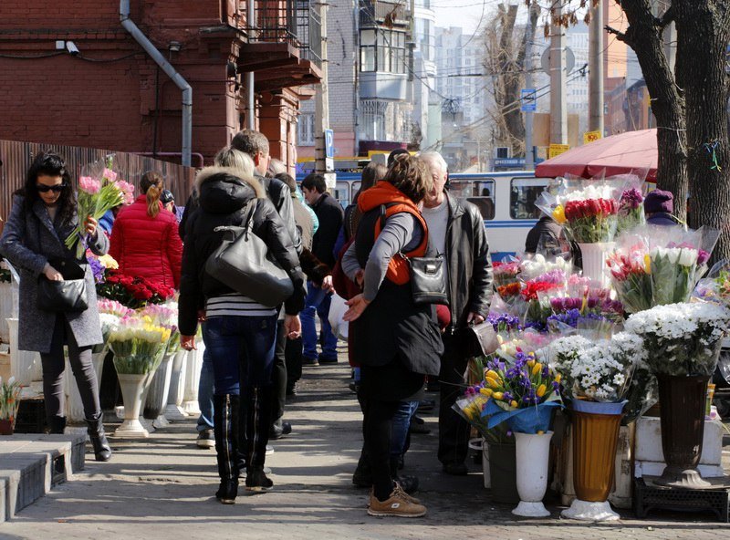 Сколько стоит порадовать девушку: цены на цветы в преддверии 8 марта 15