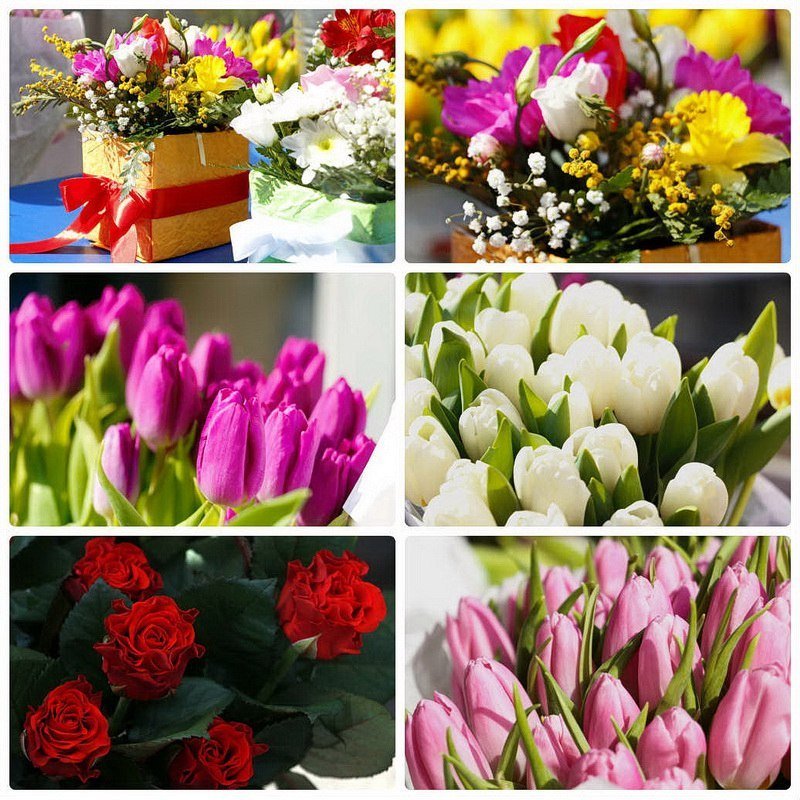 Сколько стоит порадовать девушку: цены на цветы в преддверии 8 марта 16