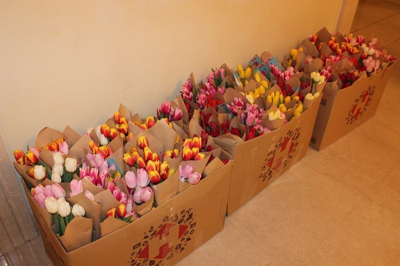 Вино, канапе и музыка: как в Днепре поздравляли женщин с 8 марта 12