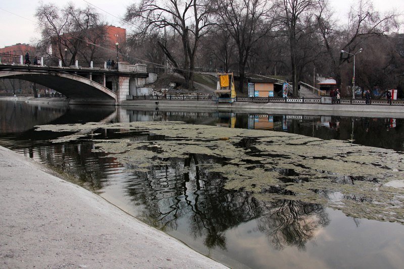 Парк Глобы готовят к весеннему наплыву посетителей 4