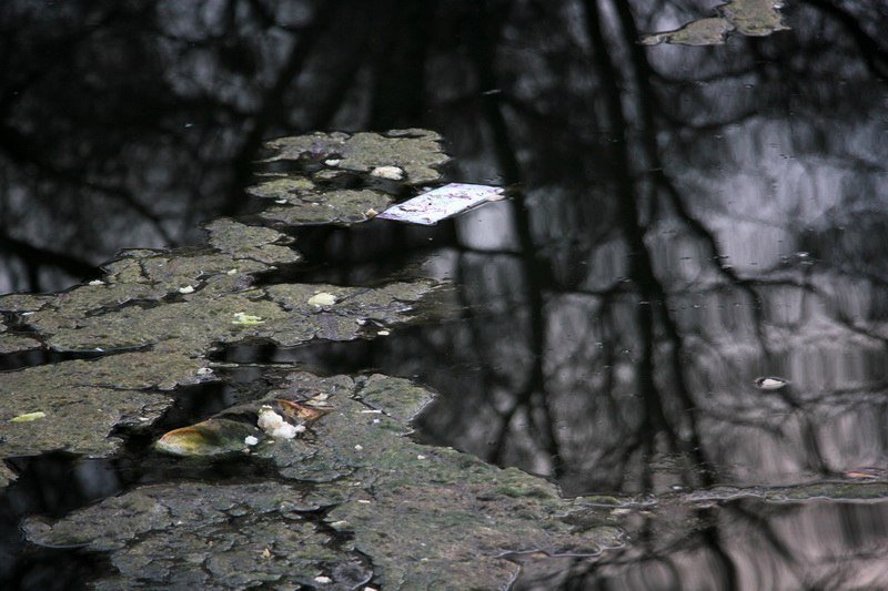 Парк Глобы готовят к весеннему наплыву посетителей 5