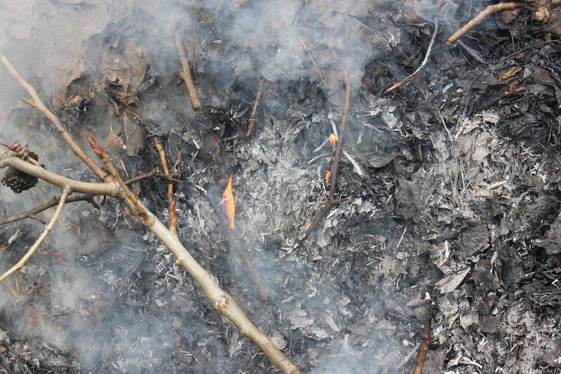 Отравляющий дым, полиция и пожарные: что происходило возле техникума на Мазепы 1