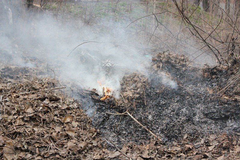 Отравляющий дым, полиция и пожарные: что происходило возле техникума на Мазепы 2