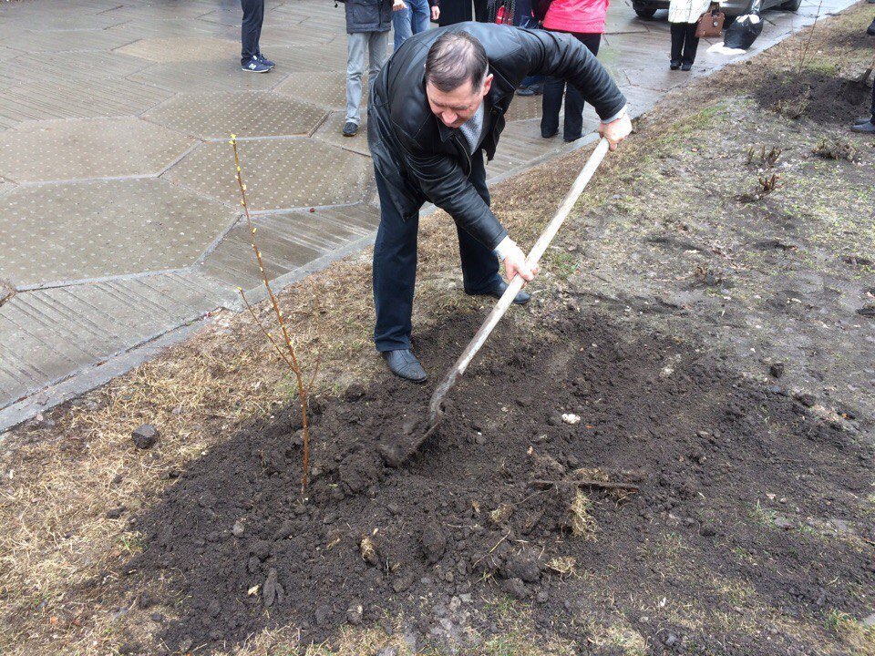 В Днепре высадили вишневую аллею в память о погибших бойцах АТО 2