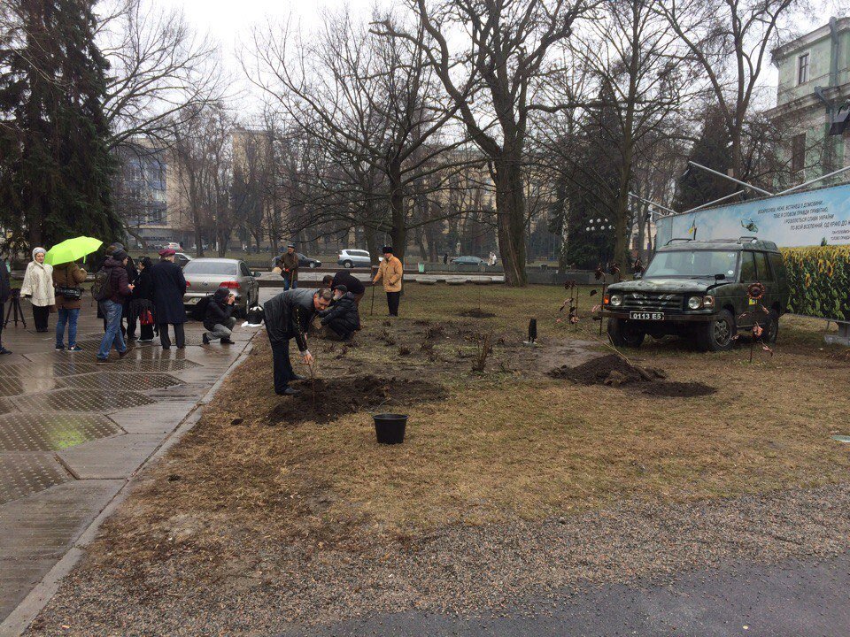 В Днепре высадили вишневую аллею в память о погибших бойцах АТО 3