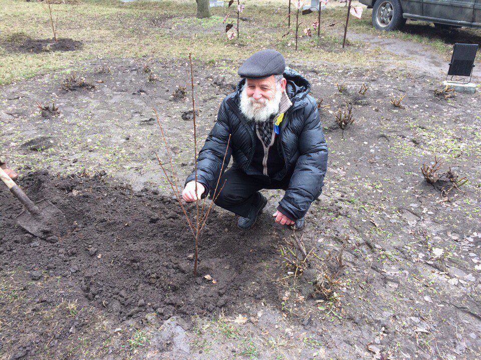 В Днепре высадили вишневую аллею в память о погибших бойцах АТО 4