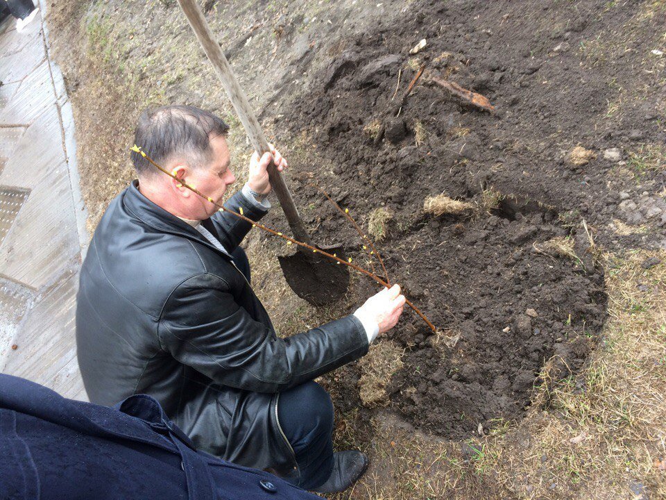 В Днепре высадили вишневую аллею в память о погибших бойцах АТО 5