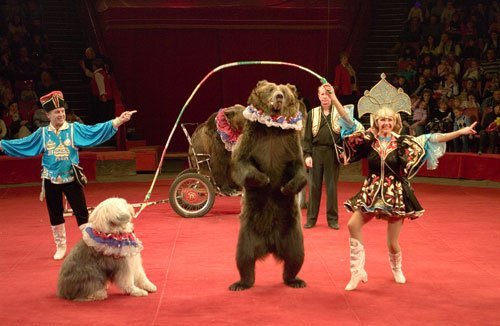 18 марта в Днепре: куда пойти сегодня 2