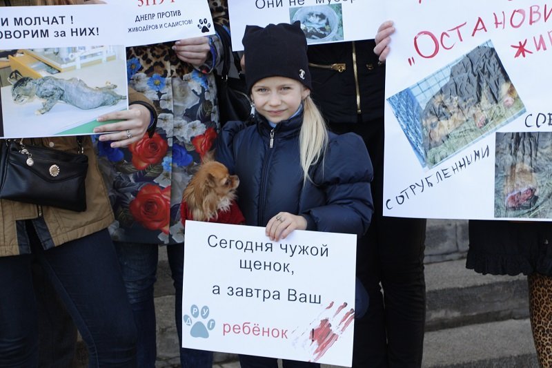 Днепряне вышли на митинг, чтобы защитить животных от живодеров 1