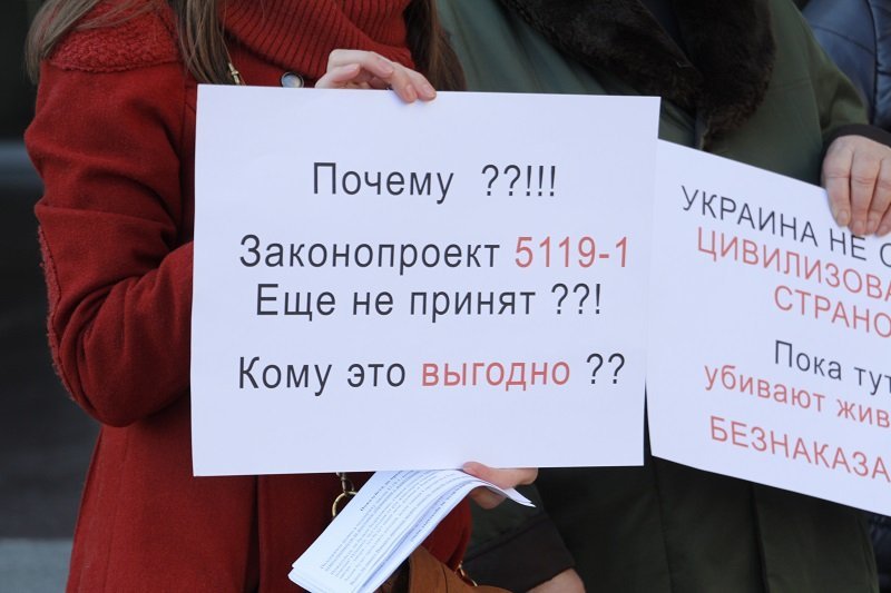 Днепряне вышли на митинг, чтобы защитить животных от живодеров 2