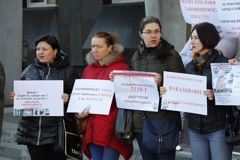 Днепряне вышли на митинг, чтобы защитить животных от живодеров 9