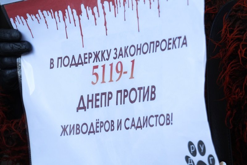 Днепряне вышли на митинг, чтобы защитить животных от живодеров 11