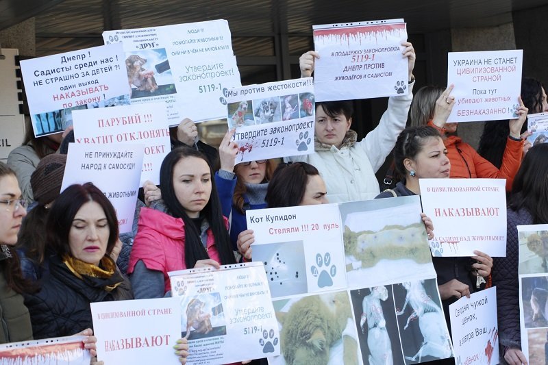 Днепряне вышли на митинг, чтобы защитить животных от живодеров 12