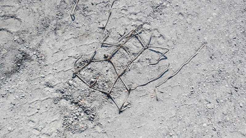 Опасность сорваться в реку: что сейчас происходит на Новом мосту 17