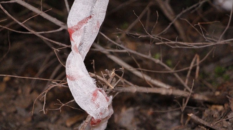 Ночная стрельба возле автовокзала: таксист ранил своего клиента 8