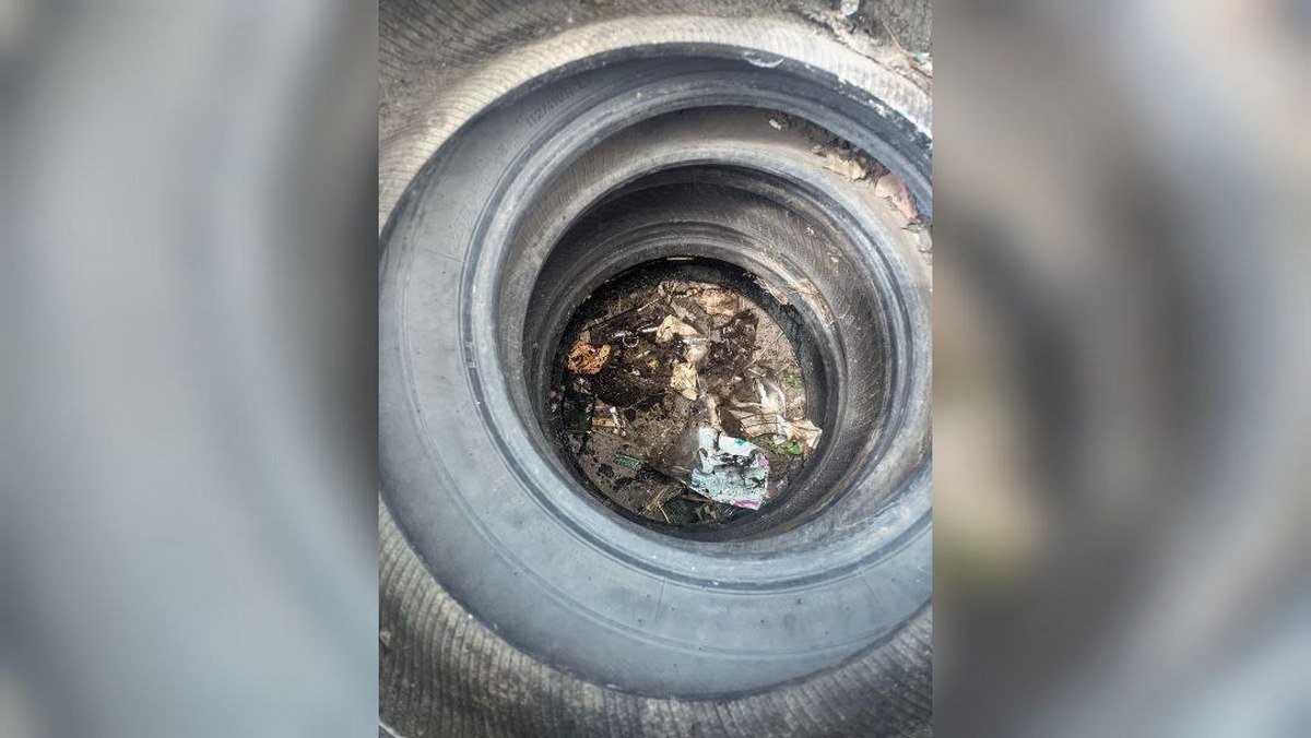 Запал лежал недалеко от гранаты