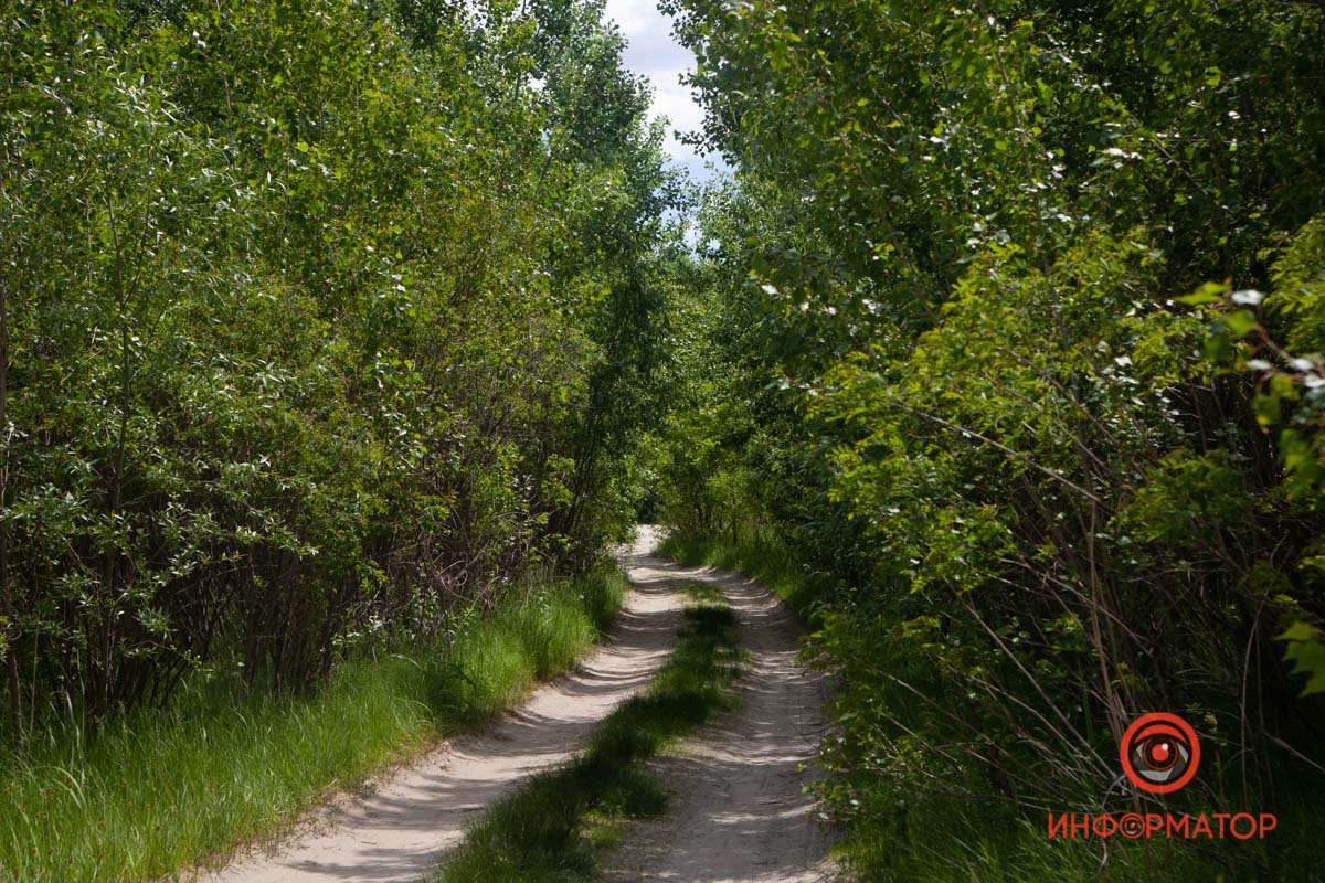 Куда ты тропинка меня привела...