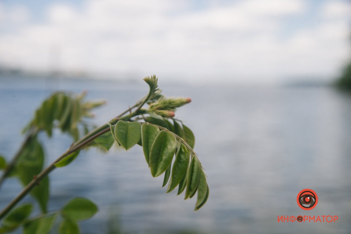 Похилилася