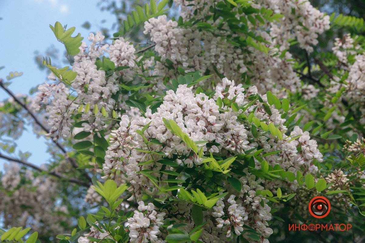 Хочется окунуться в этот аромат