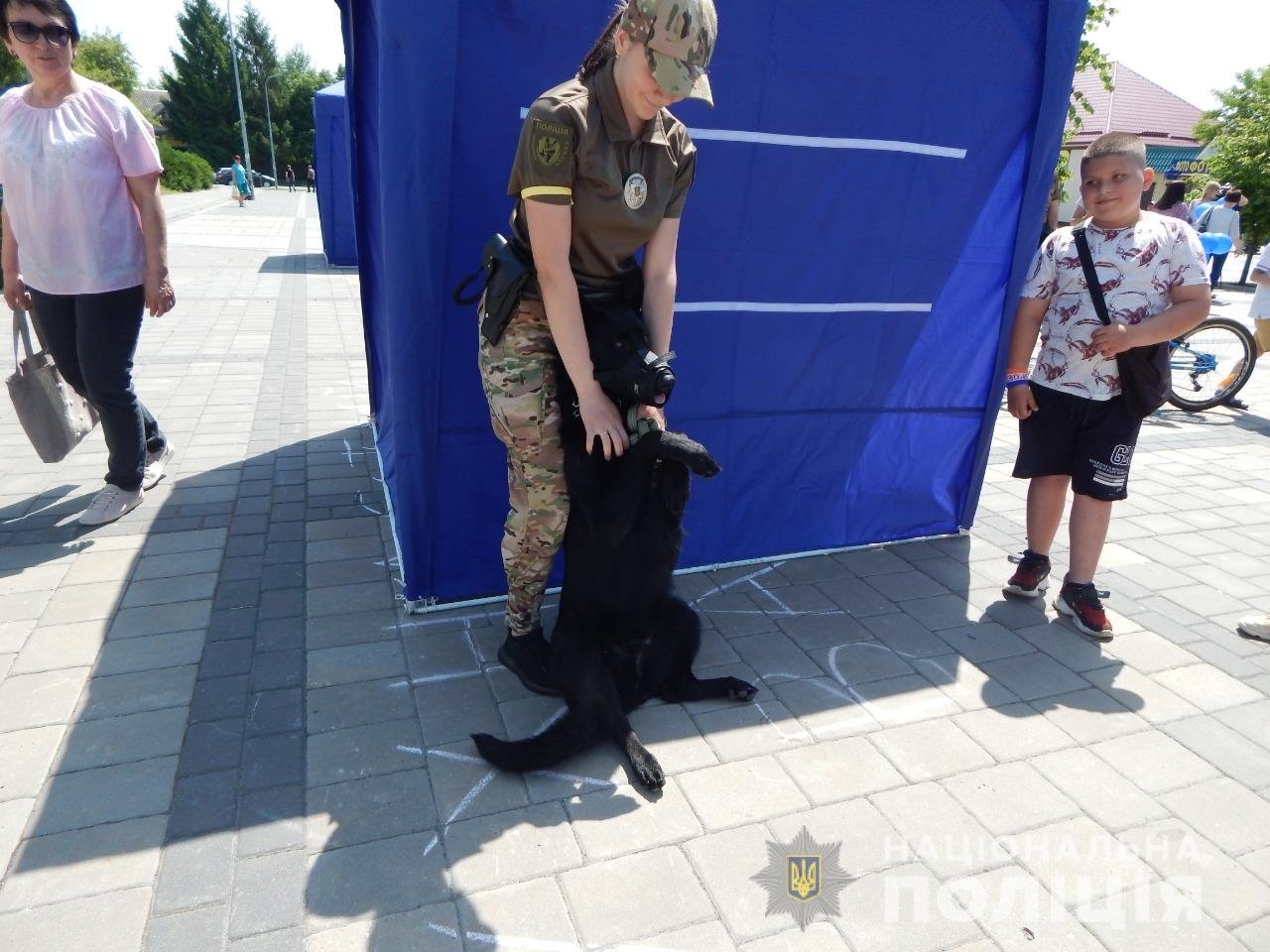 В Днепропетровской области установили Национальный рекорд Украины 3