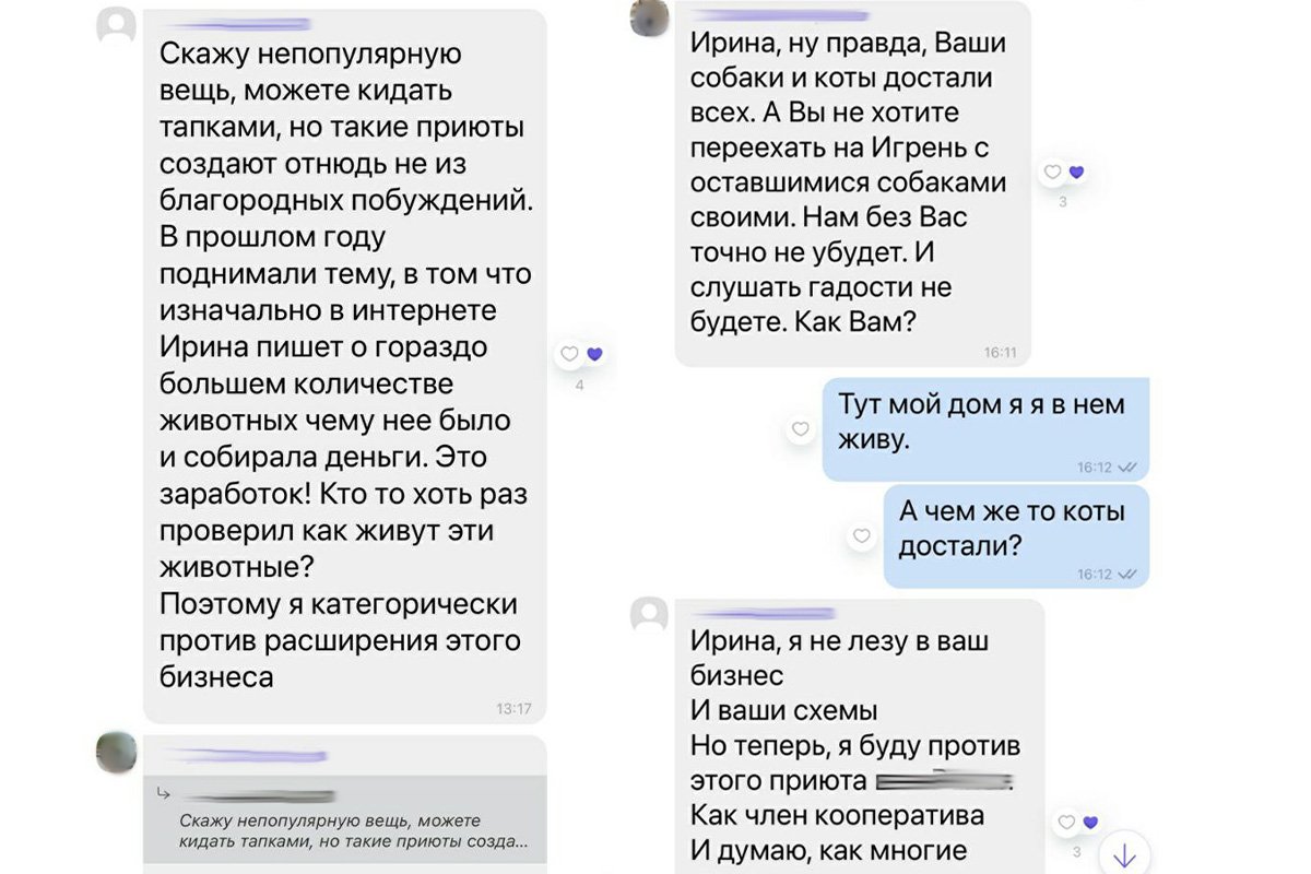 В Днепре угрожают и пытаются выжить хозяйку приюта "Лучик Надежды" 1