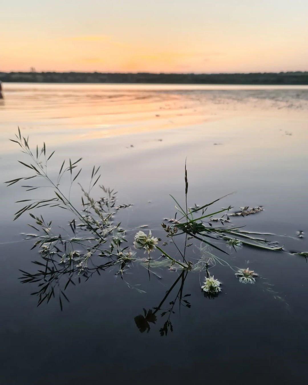 Фото: @ anastasiiatiagnii Фото: @ anastasiiatiagnii