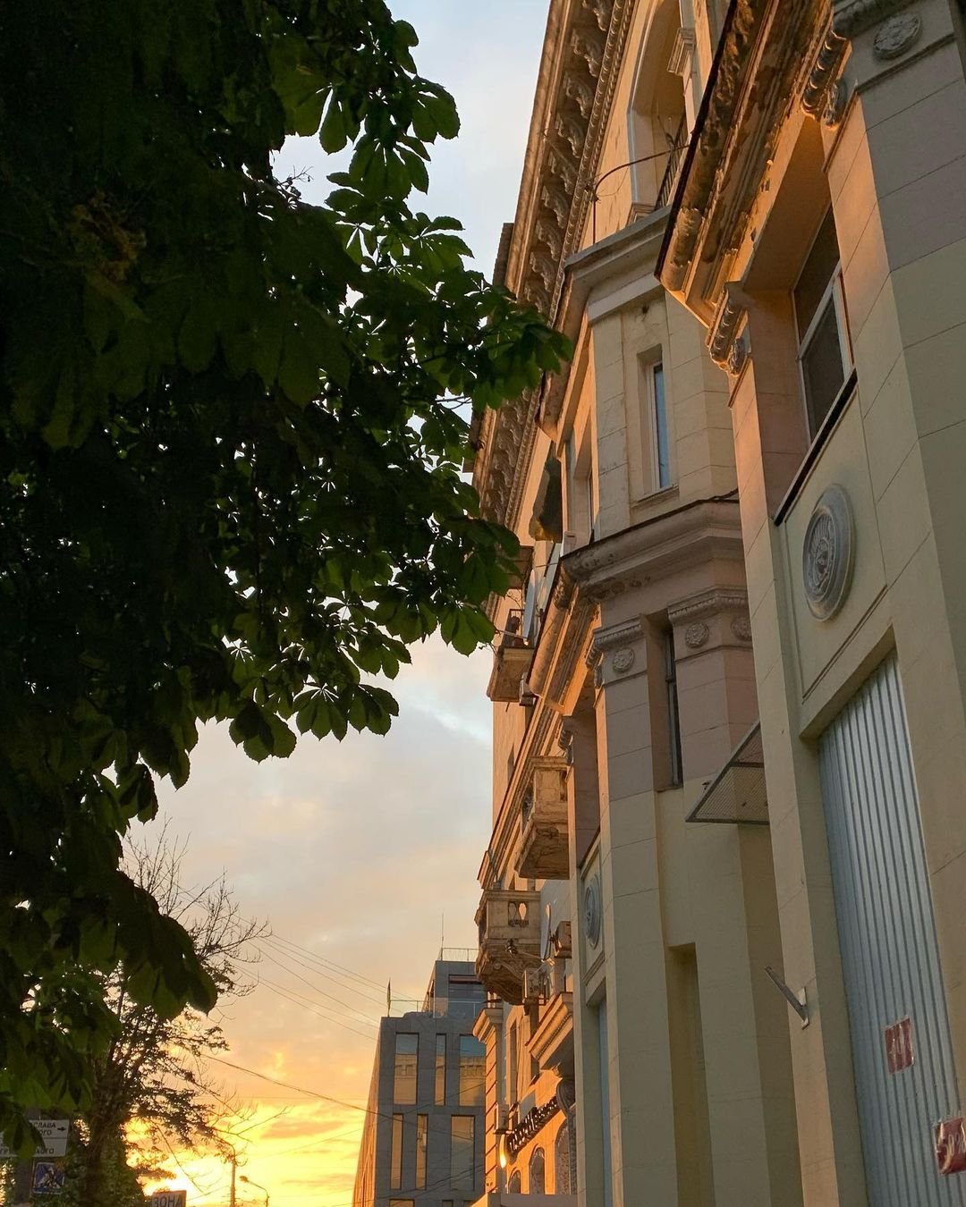 Фото: @darya.yurko Фото: @darya.yurko