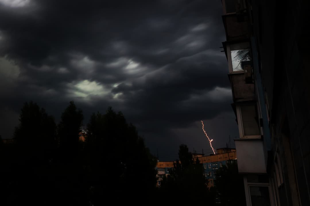 Фото: @dmfprodua Фото: @dmfprodua