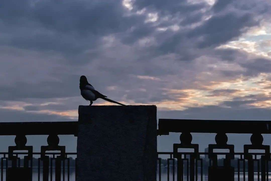 Фото: @nikitos161331 Фото: @nikitos161331