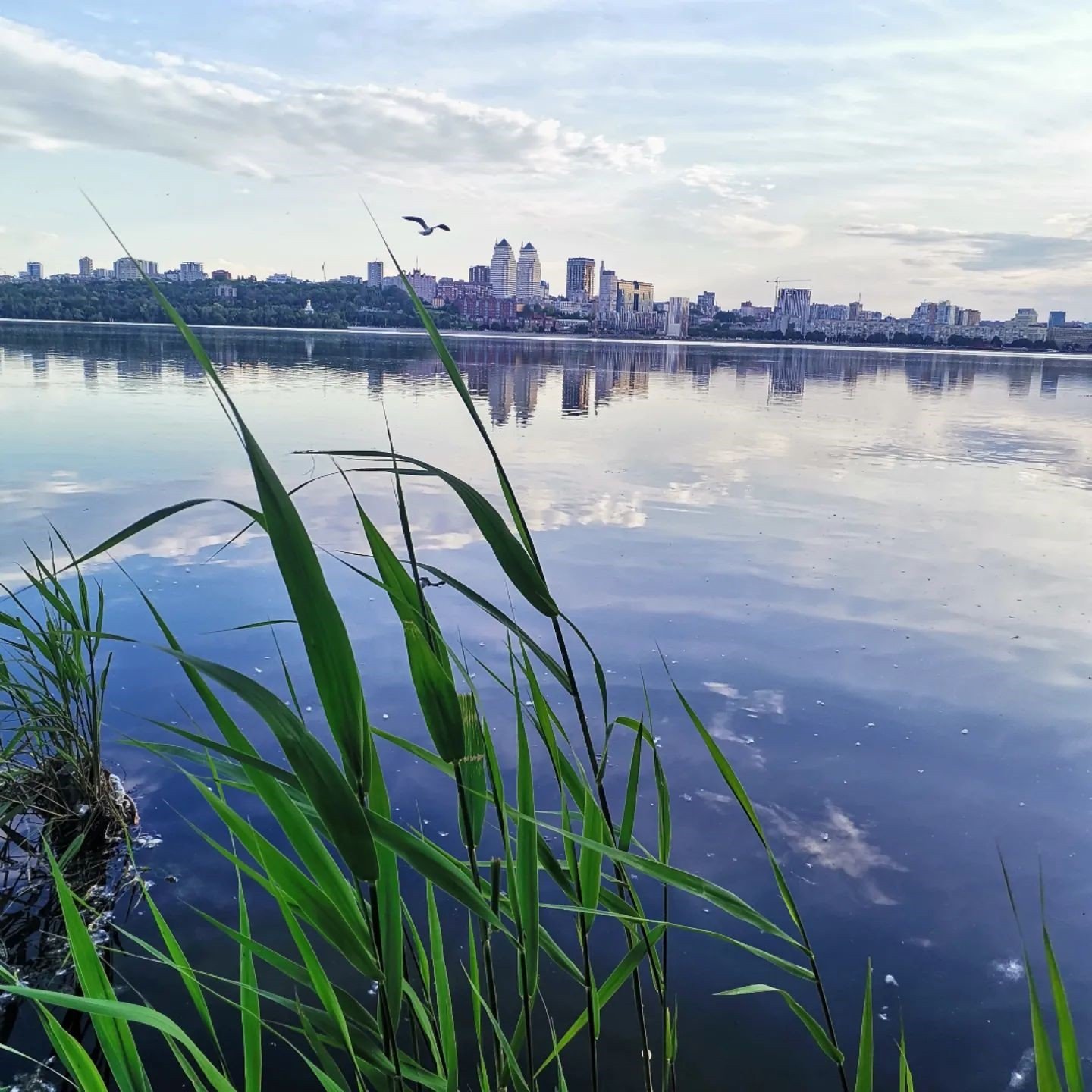 Фото: @oleksandrkosta Фото: @oleksandrkosta