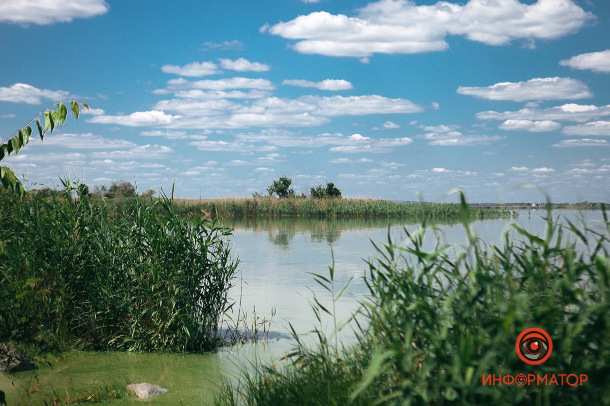 Шумел камыш Шумел камыш