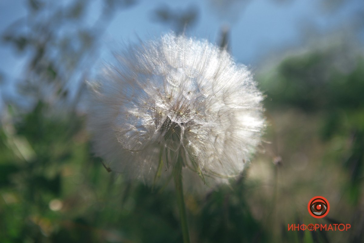 Нужно хорошенько набрать воздуха Нужно хорошенько набрать воздуха