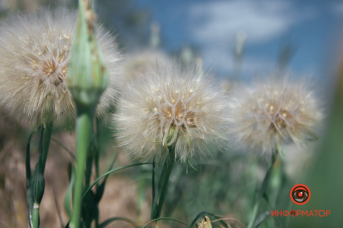 Оригинальная прическа Оригинальная прическа