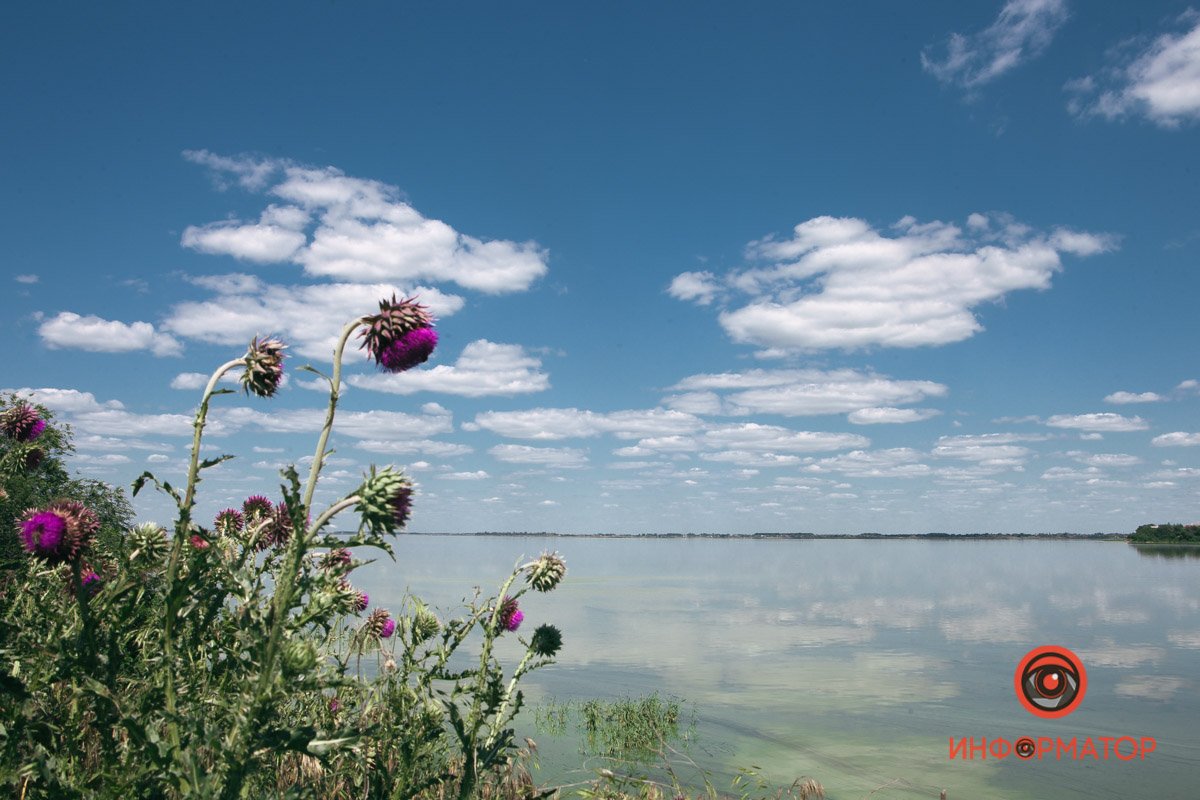 Следят, чтобы никто не вылавливал рыбу Следят, чтобы никто не вылавливал рыбу