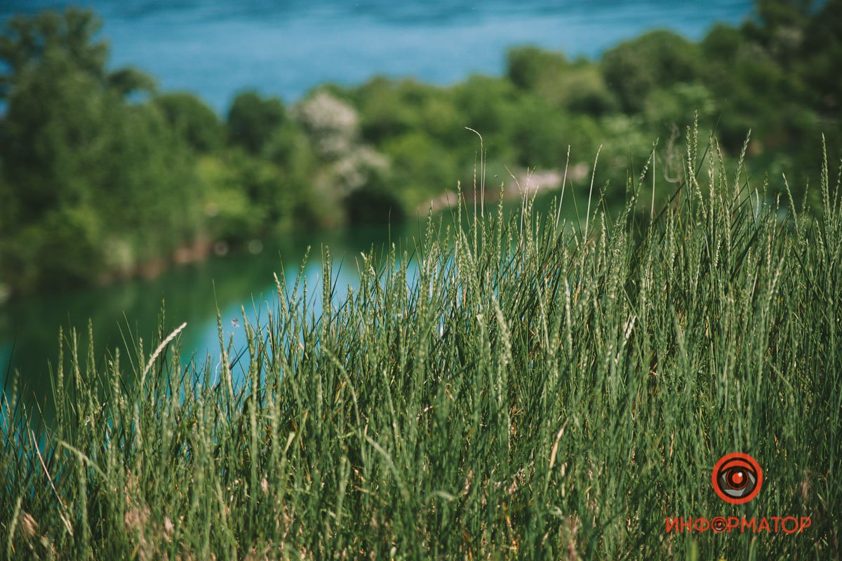Ворсится зеленый ковер Ворсится зеленый ковер