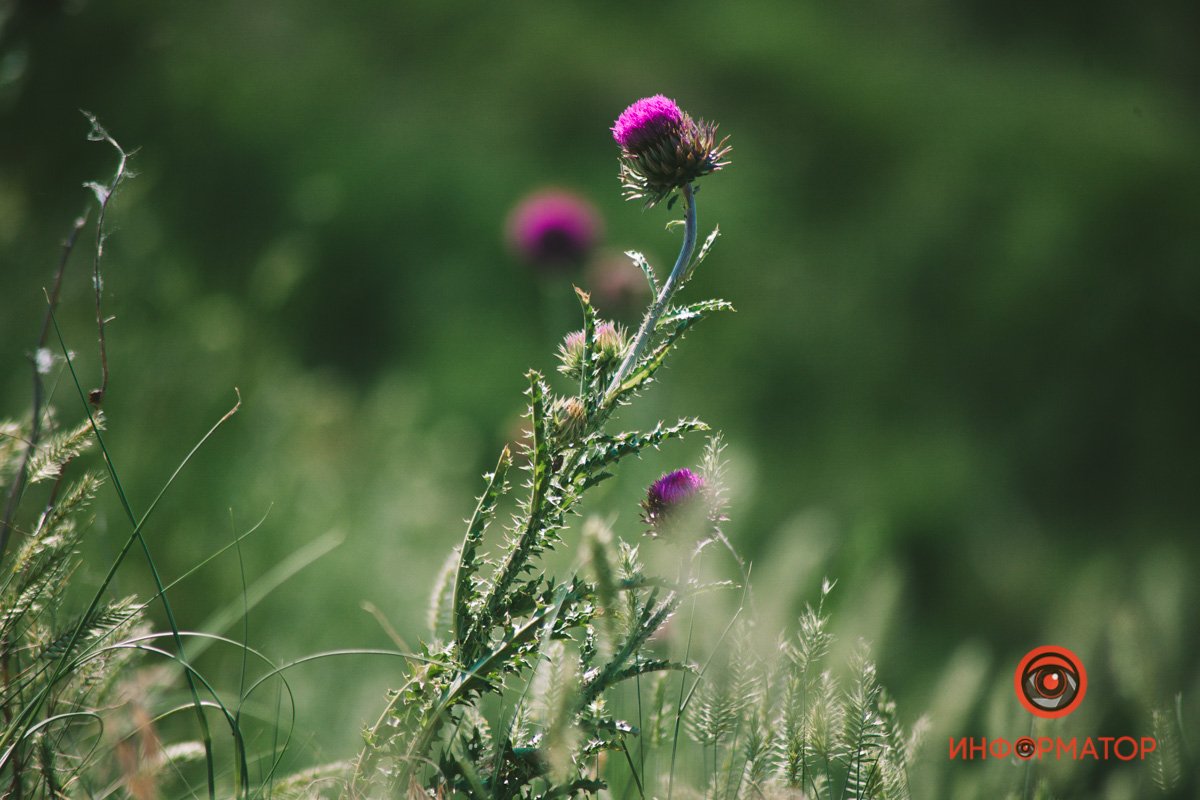 Теперь на другой стороне Днепра Теперь на другой стороне Днепра