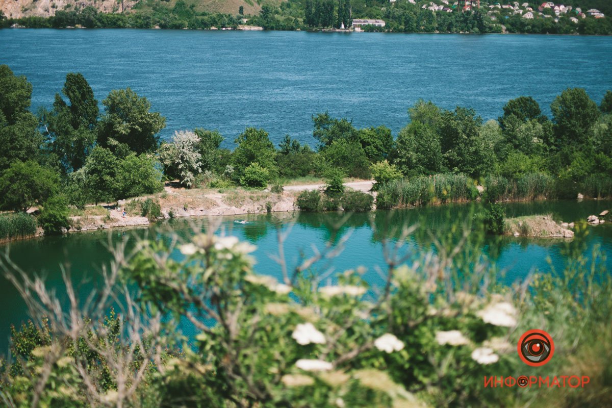 Сквозь тернии Сквозь тернии