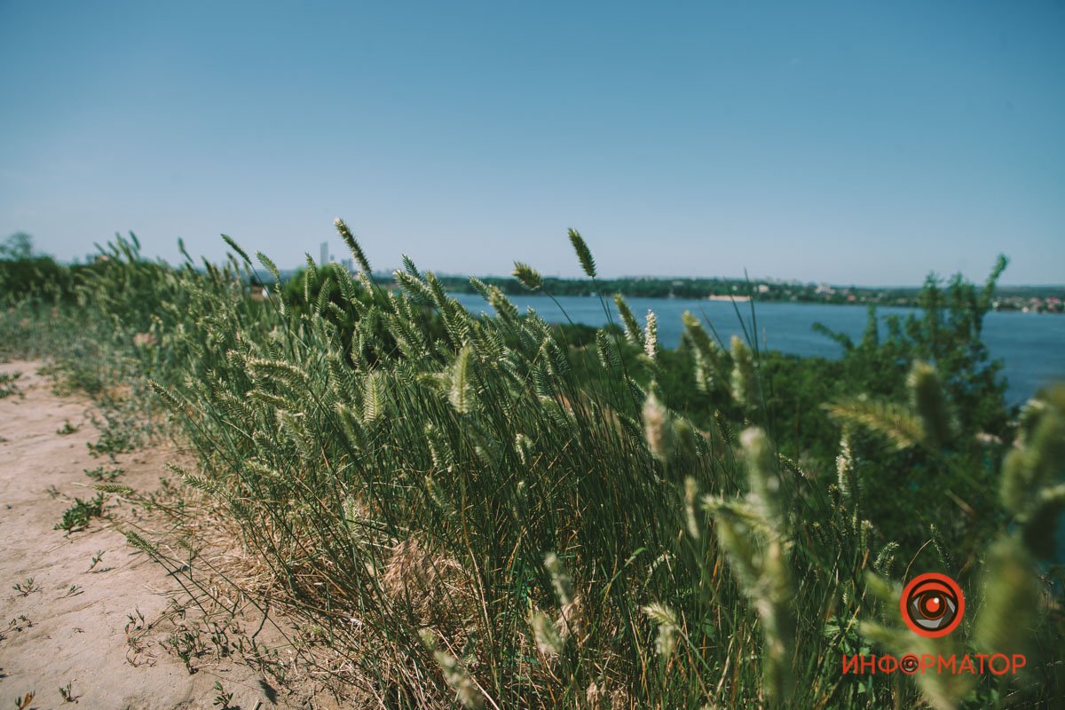 Встречают путников Встречают путников