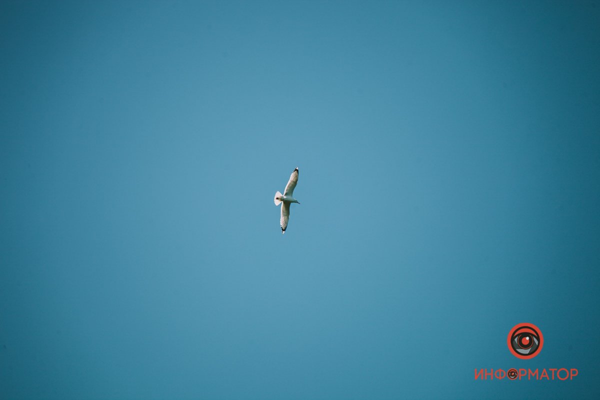 Подсматривает за жителями Подсматривает за жителями