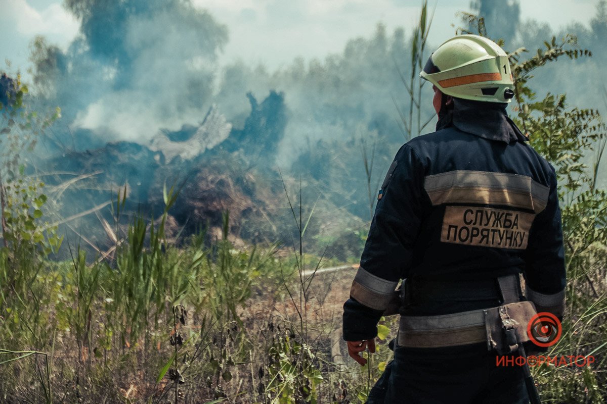 В Днепре на Набережной Победы загорелся сухостой 2
