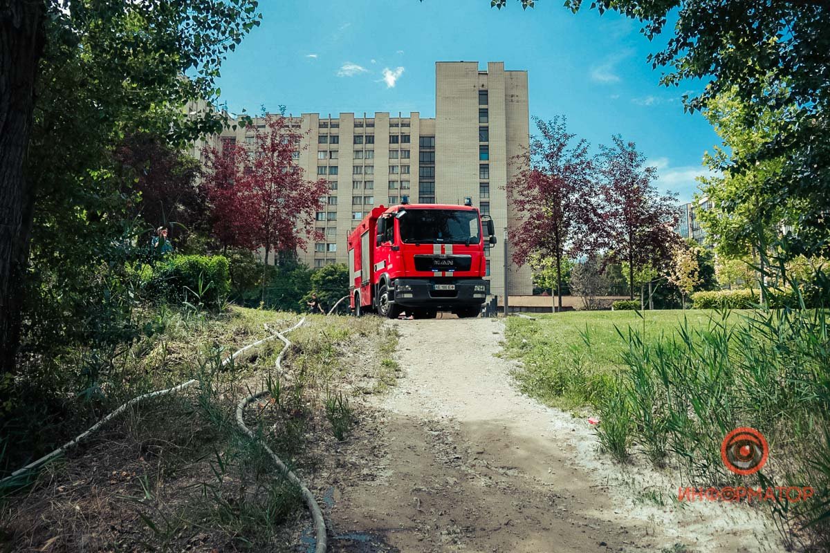 В Днепре на Набережной Победы загорелся сухостой 3