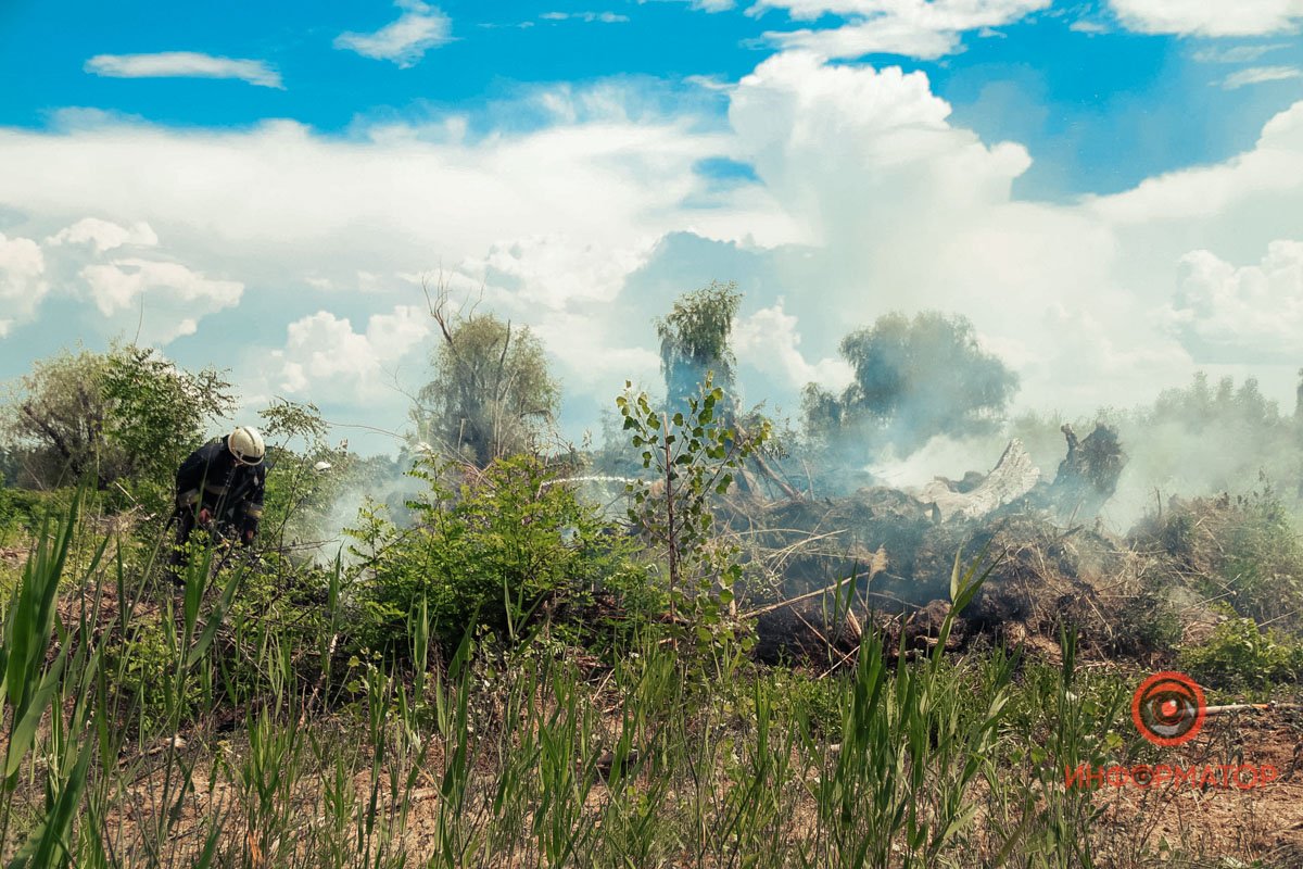В Днепре на Набережной Победы загорелся сухостой 4