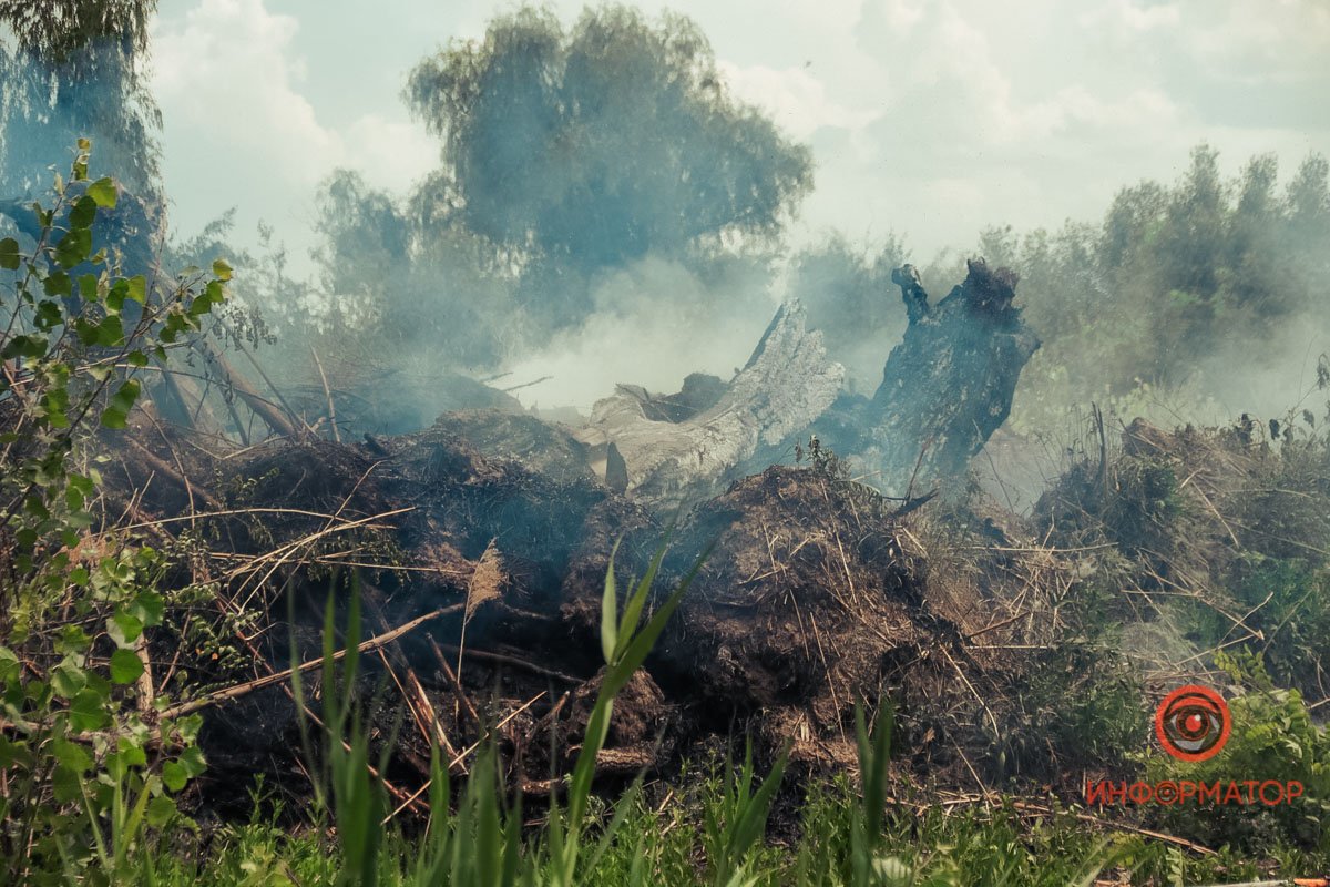 В Днепре на Набережной Победы загорелся сухостой 6