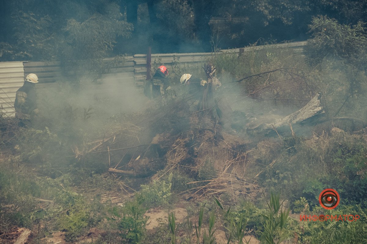 В Днепре на Набережной Победы загорелся сухостой 9
