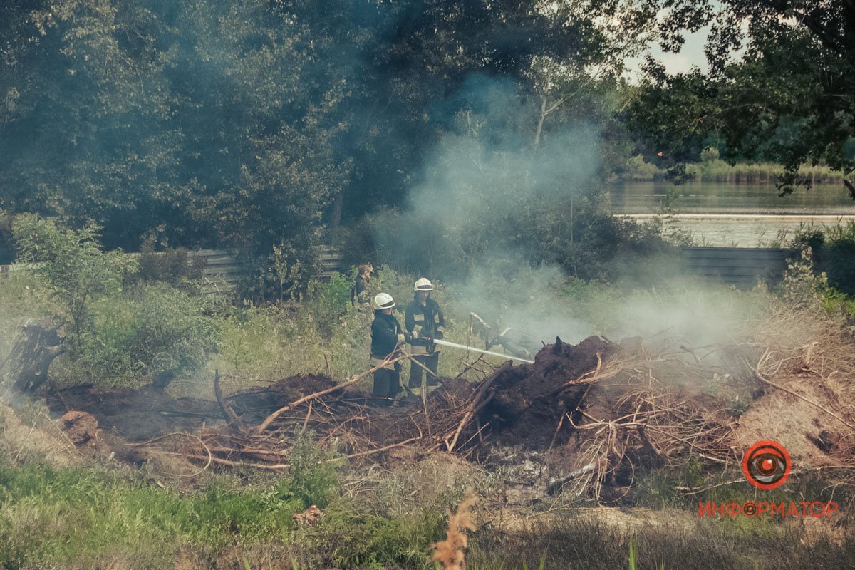 В Днепре на Набережной Победы загорелся сухостой 10